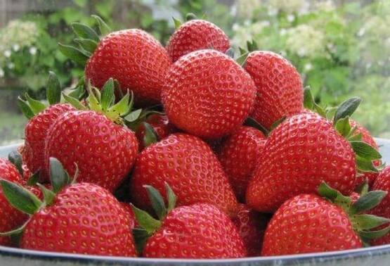 Полуниця Sweetheart (Середній сорт)