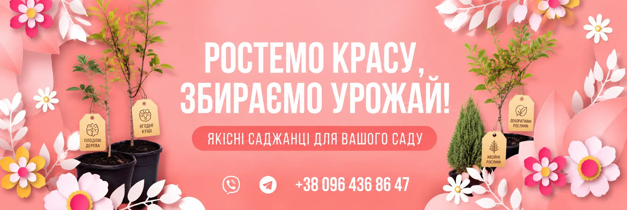 Баннер в ирисы
